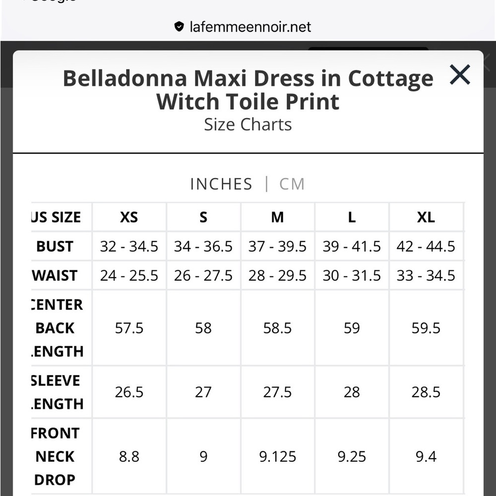 La Femme en Noir Belladonna Maxi Dress in Cottage Witch Toile Print - Picture 2 of 5